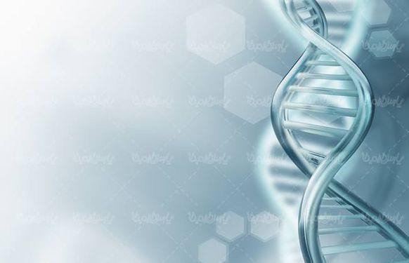 ساختار دی ان ای پزشکی DNA عامل وراثت1