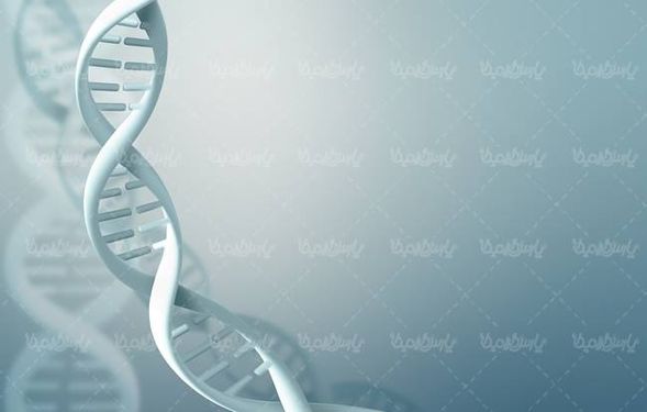 ساختار دی ان ای پزشکی DNA عامل وراثت6
