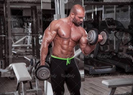 بدن سازی سالن پرورش اندام  باشگاه بدنسازی جلو بازو