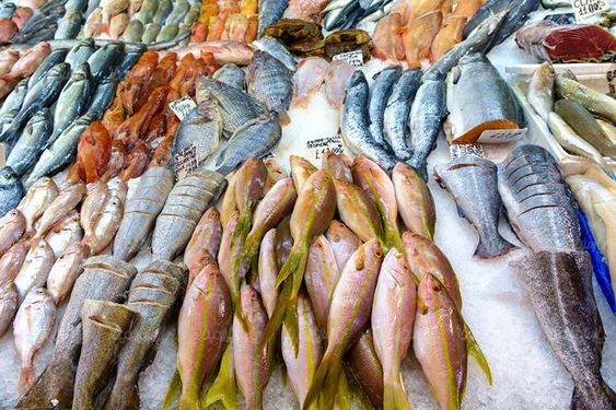 ماهی فروشی شیلات پروتئینیگوشت ماهی گوشت سفید