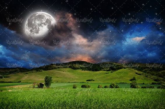 منظره بهاری شب آسمان شب  دشت سرسبز چمنزار9