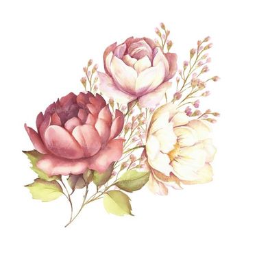 بک گراند گل تصویر زمینه گل پس زمینه گل و بوته7
