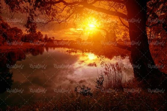 چشم انداز غروب آفتاب منظره غروب خورشید درخت دریاچه