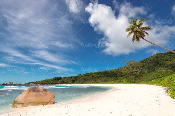 منظره طبیعت چشم انداز ساحل دریا درخت نارگیل ابر