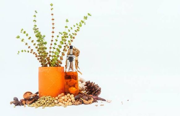 گلدان شیشه روغن خشکبار میوه خشک شده هل سبز