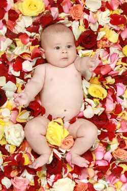 بچه کودک خرسال نوزاد آتلیه کودک عکاسی کودک