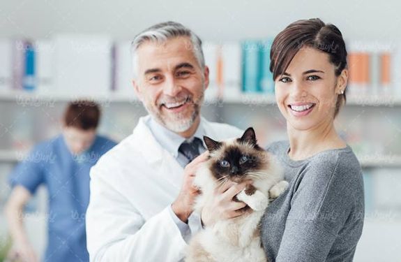 دام پزشکی دکتر دامپزشک معاینه گربه حیوان خانگی1