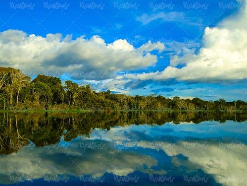 دریاچه منظره درخت ابر سفید آسمان آبی چشم انداز