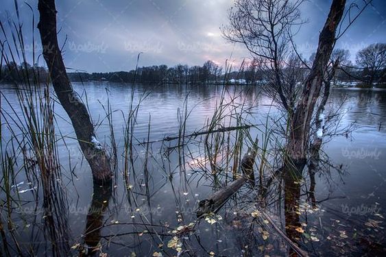 منظره دریاچه درخت زمستان فصل زمستان چشم انداز