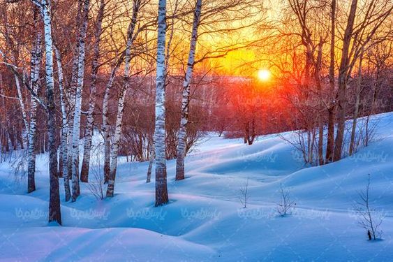 برف زمستان منظره برفی چشم انداز طبیعت تابش خورشید