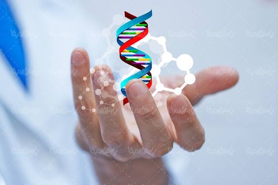 ساختار مولوکولی ساختار یونی آزمایشگاه اتم ملکول1