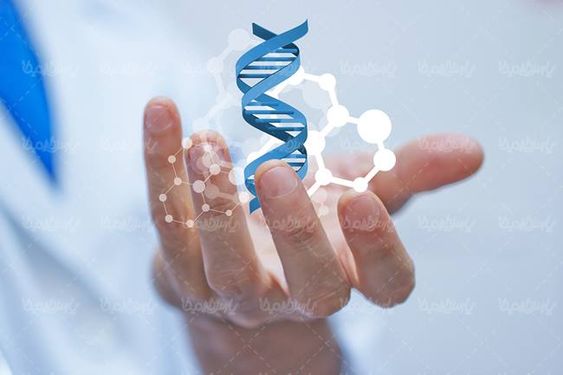 ساختار مولوکولی ساختار یونی آزمایشگاه اتم ملکول2