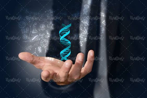 ساختار مولوکولی ساختار دی ان ای ساختار DNA