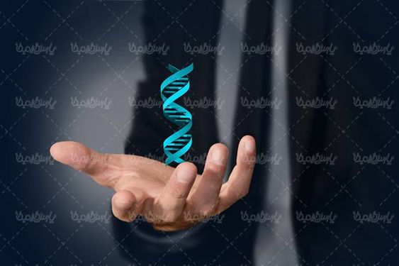 ساختار مولوکولی ساختار دی ان ای ساختار DNA