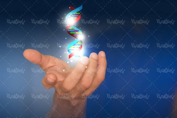 ساختار مولوکولی ساختار دی ان ای ساختار DNA