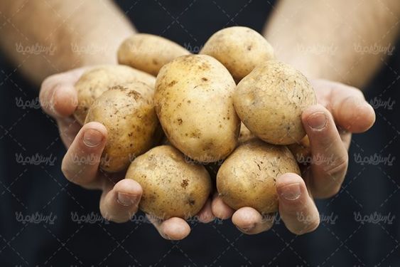 سیب زمینی میوه فروشی سوپر میوه
