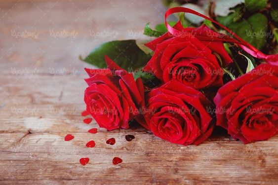 شاخه گل رز قرمز گلفروشی دسته گل