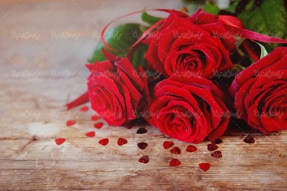 شاخه گل رز قرمز گلفروشی دسته گل
