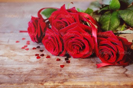 شاخه گل رز قرمز گلفروشی دسته گل