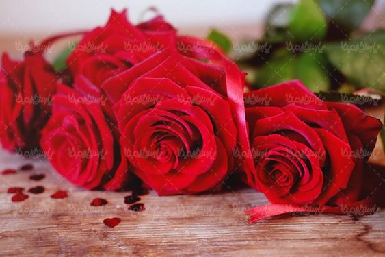 شاخه گل رز قرمز گلفروشی دسته گل