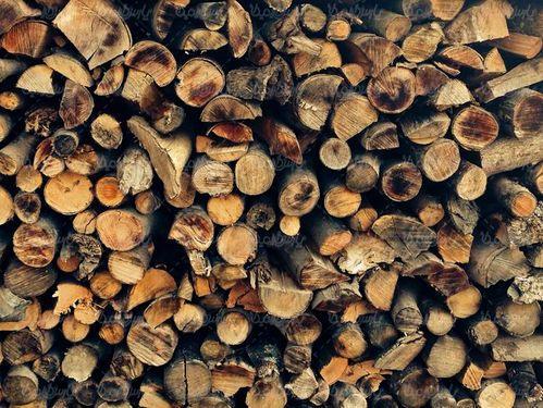 چوب بری انبار چوب تخته الوار نجاری