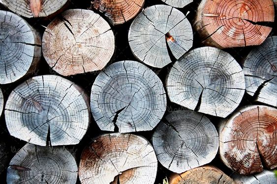 چوب بری انبار چوب تخته الوار نجاری