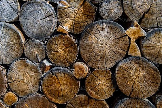 چوب بری انبار چوب تخته الوار نجاری