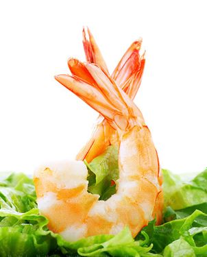 میگو پروتئینی غذای دریایی