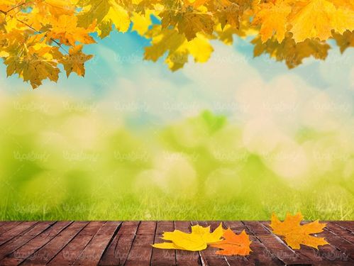 پاییز فصل رنگها فصل پاییز