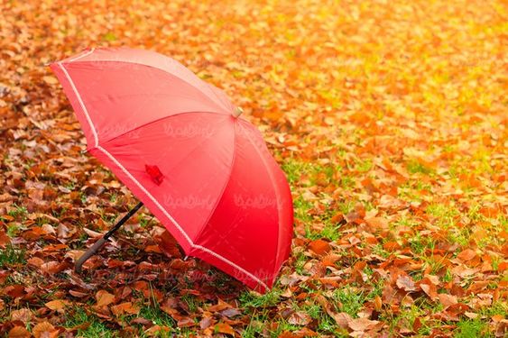 پاییز فصل رنگها فصل پاییز