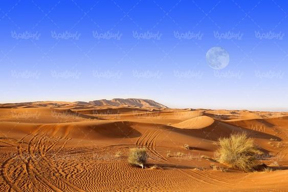 صحرا بیابان کویر صحرای شن  منظره بیابان شنی