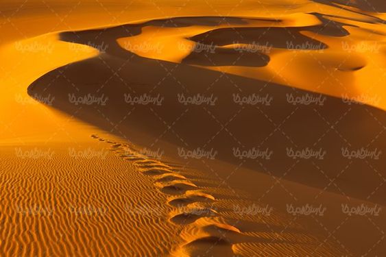 صحرا بیابان کویر صحرای شن  منظره بیابان شنی