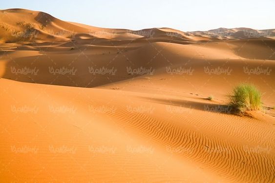 صحرا بیابان کویر صحرای شن  منظره بیابان شنی