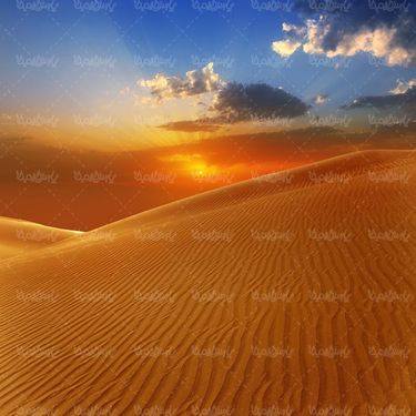 صحرا بیابان کویر صحرای شن  منظره بیابان شنی