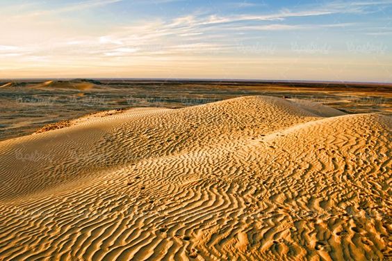 صحرا بیابان کویر صحرای شن  منظره بیابان شنی