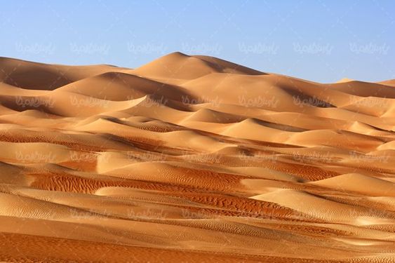 صحرا بیابان کویر صحرای شن  منظره بیابان شنی
