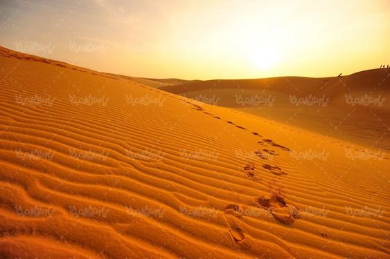 صحرا بیابان کویر صحرای شن  منظره بیابان شنی