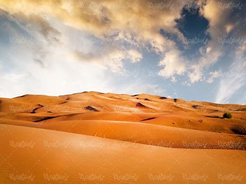 صحرا بیابان کویر صحرای شن  منظره بیابان شنی