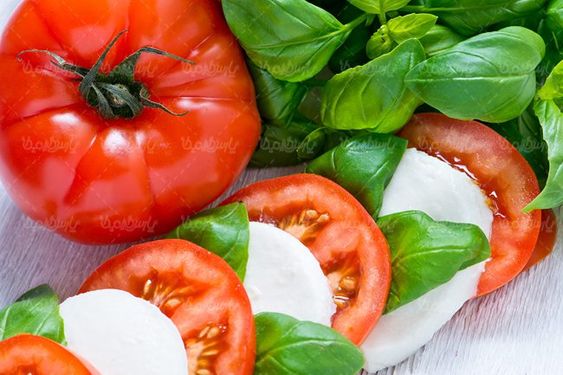فست فود ساندویچ رستوران اغذیه ساندویچی
