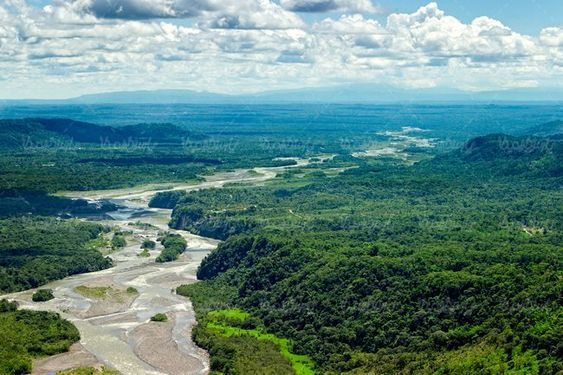رودخانه منظره چشم انداز طبیعت بهار