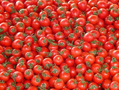 گوجه فرنگی میوه فروشی  میوه سرا
