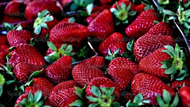 توت فرنگی میوه فروشی میوه سرا