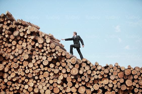 چوب بری تنه درخت نجاری انبار چوب
