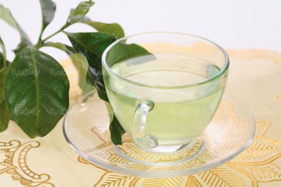 چای کافی شاپ فنجان شیشه ای دمنوش گیاهی