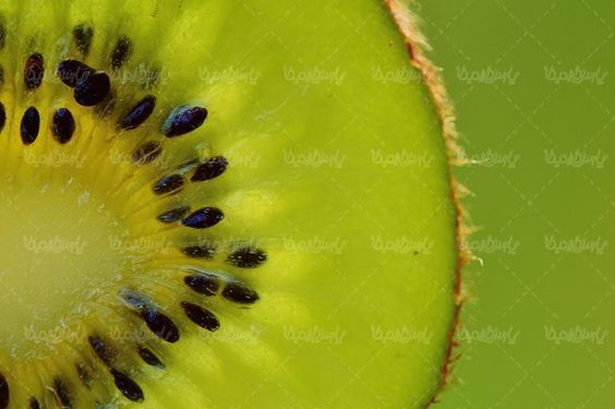 کیوی آب میوه قاچ کیوی میوه سرا