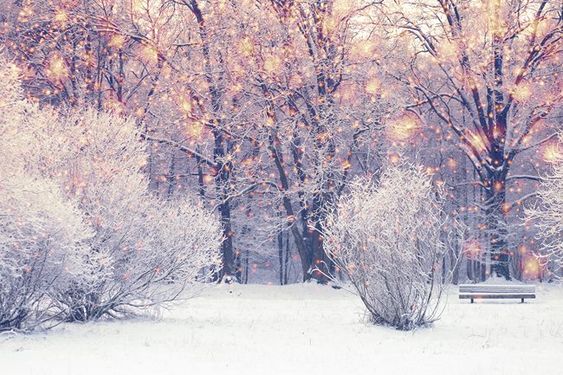 منظره زمستانی برف طبیعت زمستان درخت