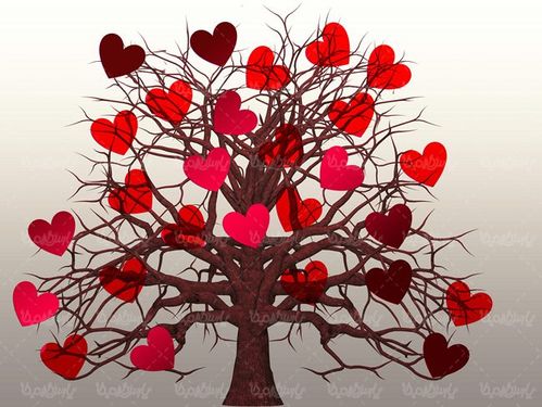 قلب عشق  دوست داشتن   love