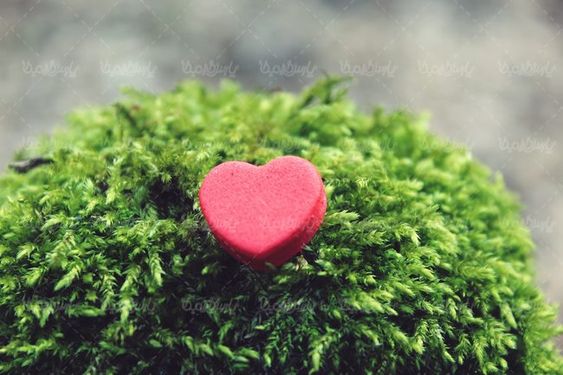 قلب عشق  دوست داشتن    love