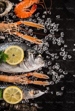 غذا های دریای ماهی میگو صدف پروتئینی
