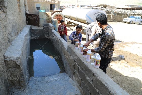 حمام سم گوسفندان